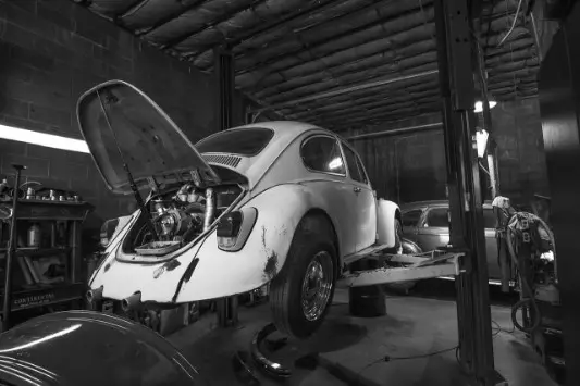 The shop