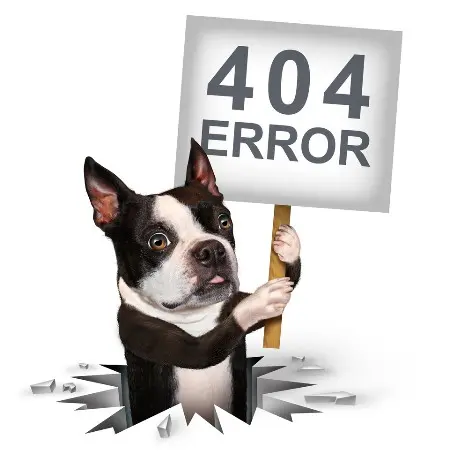 Page not Found